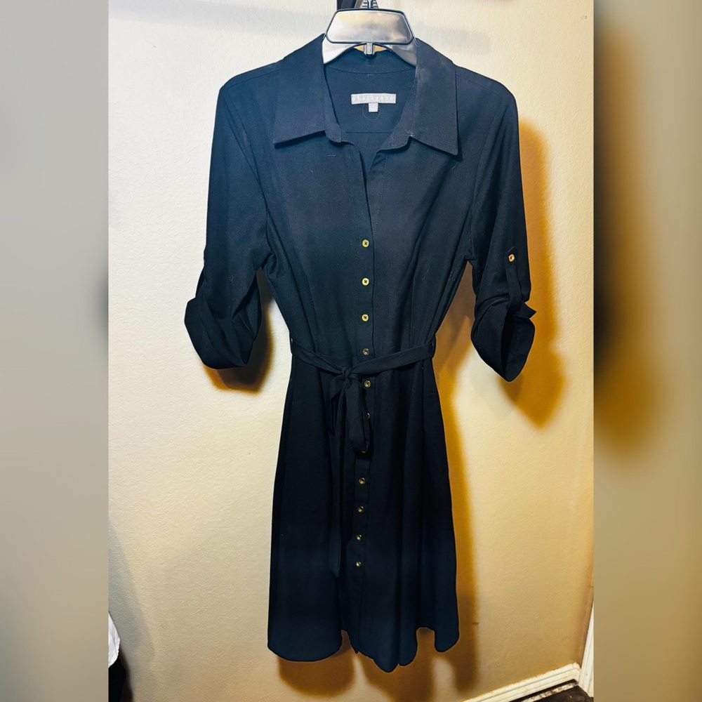 Elegant Black Collared Button-Down Dress.